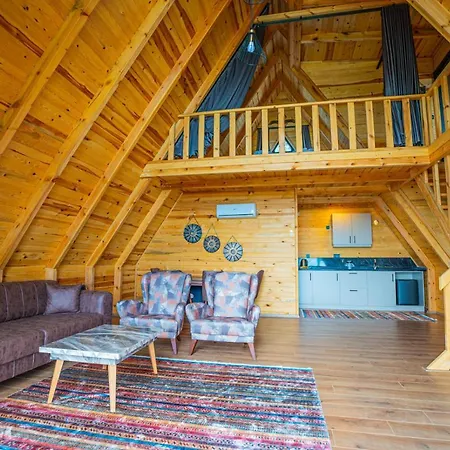 אתר קמפינג Aronia *