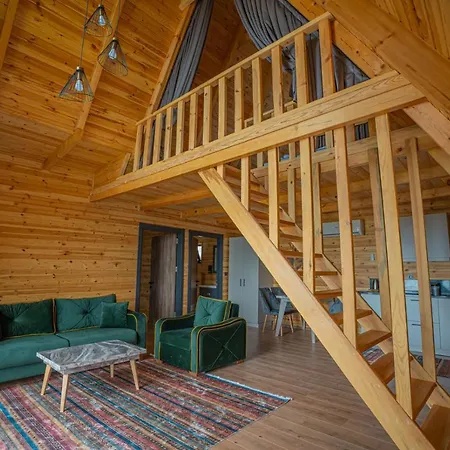 Kamp alanı Aronia *