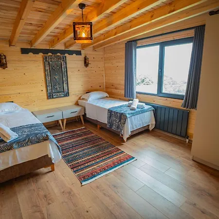 Aronia Kamp alanı *