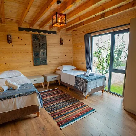 Aronia Kamp alanı Elmalik (Marmara)