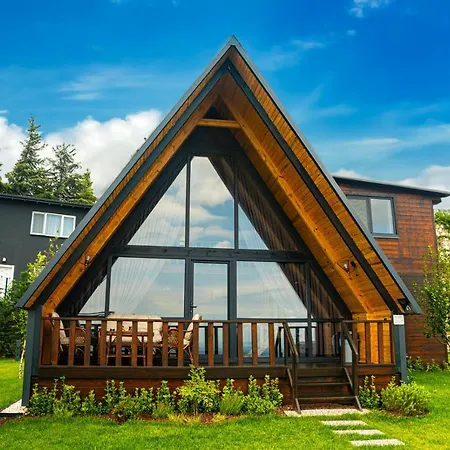 Aronia * Elmalik (Marmara)