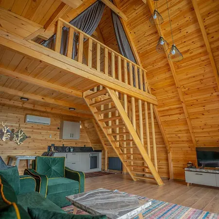 Aronia Kamp alanı *