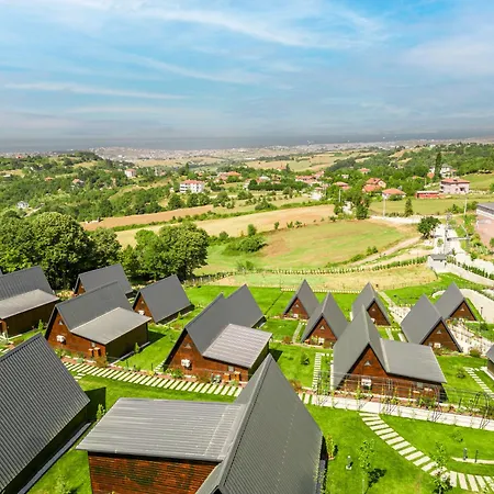 Aronia Elmalik (Marmara)