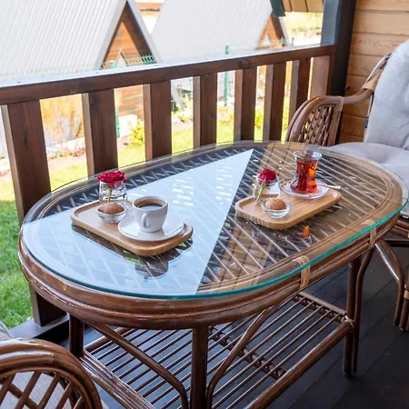 Aronia Camping