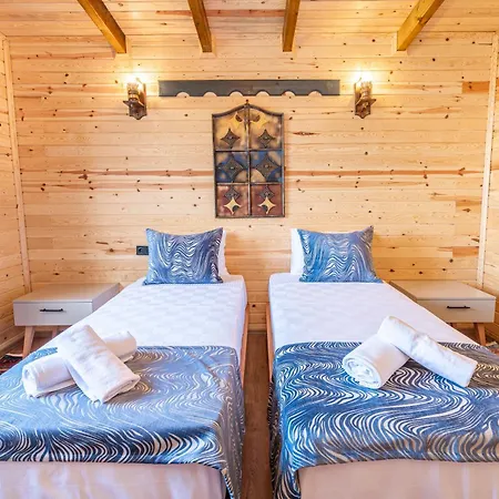 Aronia * Elmalik (Marmara)