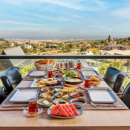 Aronia Kamp alanı *