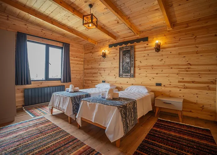 Aronia * Elmalik (Marmara)