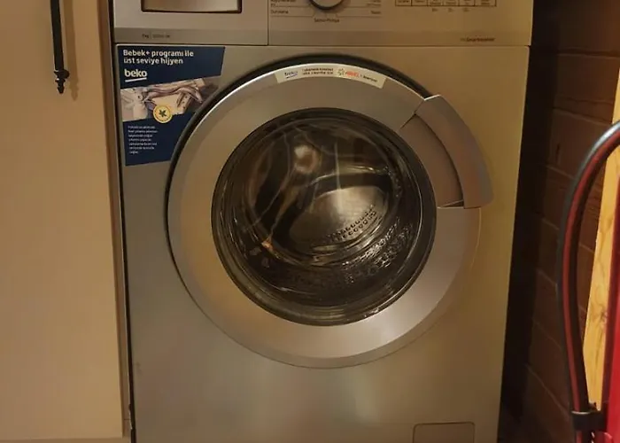 Aronia Elmalik (Marmara)